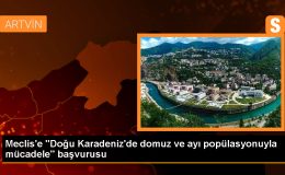 Gümüşhane’de Domuz ve Ayıların Zararlarına Karşı Tedbirler Alınması İstendi