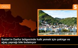Sudan’da açlık tehlikesi: Çocuklar ağaç yapraklarıyla besleniyor