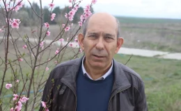 Küresel iklim değişikliği ve bilinçsiz ilaçlama arıları tehdit ediyor