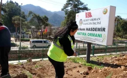 Marmaris’te Orman Haftası etkinliği: Binlerce fidan toprakla buluştu