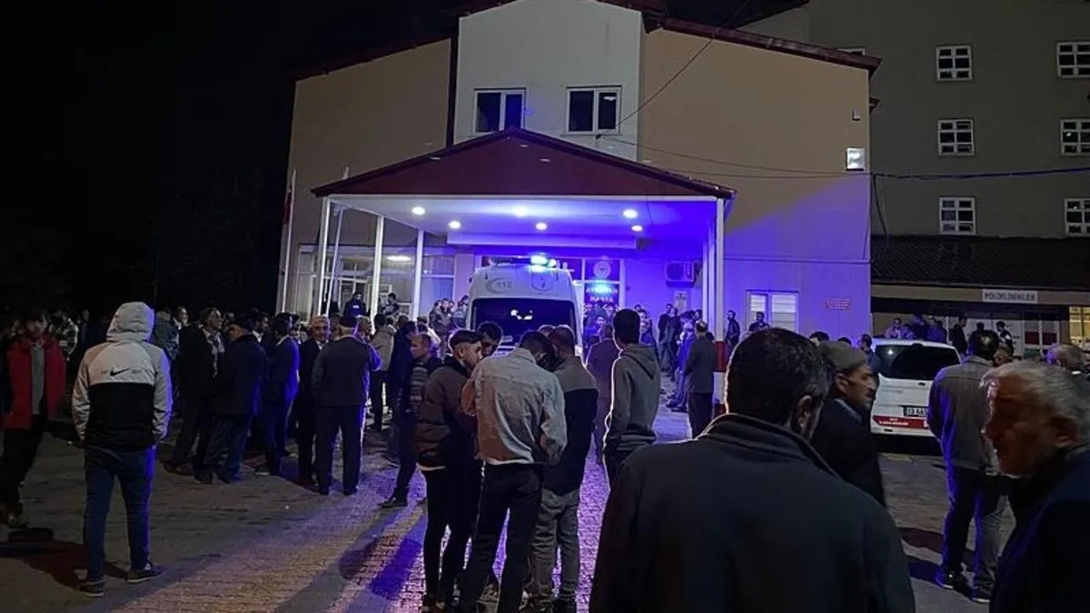 Bitlis’te mezraya yıldırım düştü: 5 yaralı